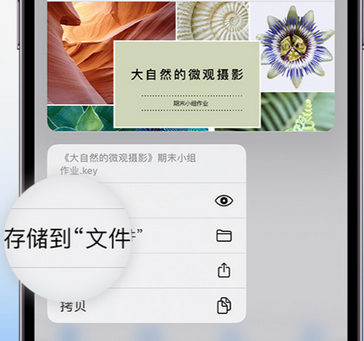 滴道apple维修中心分享iPhone文件应用中存储和找到下载文件