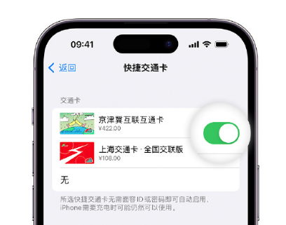 滴道apple维修点分享iPhone上更换Apple Pay快捷交通卡手绘卡面 