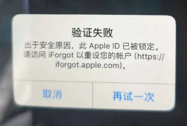 滴道iPhone维修分享iPhone上正常登录或使用AppleID怎么办 