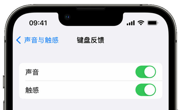 滴道苹果手机维修分享iPhone 14触感键盘使用方法 