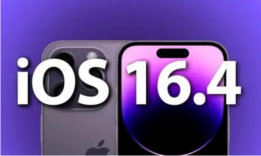 滴道苹果14维修分享：iPhone14可以升级iOS16.4beta2吗？ 