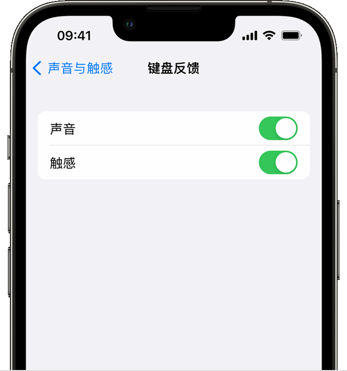 滴道苹果14维修店分享如何在 iPhone 14 机型中使用触感键盘 