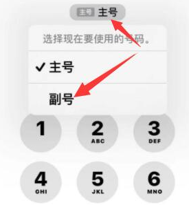 滴道苹果14维修店分享iPhone 14 Pro Max使用副卡打电话的方法 