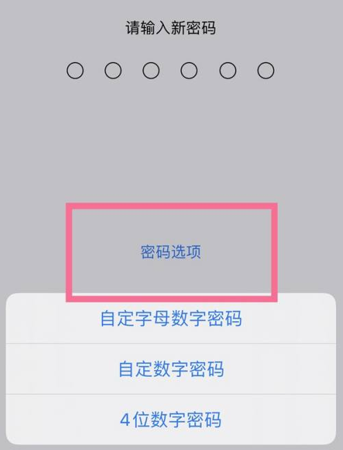 滴道苹果14维修分享iPhone 14plus设置密码的方法 