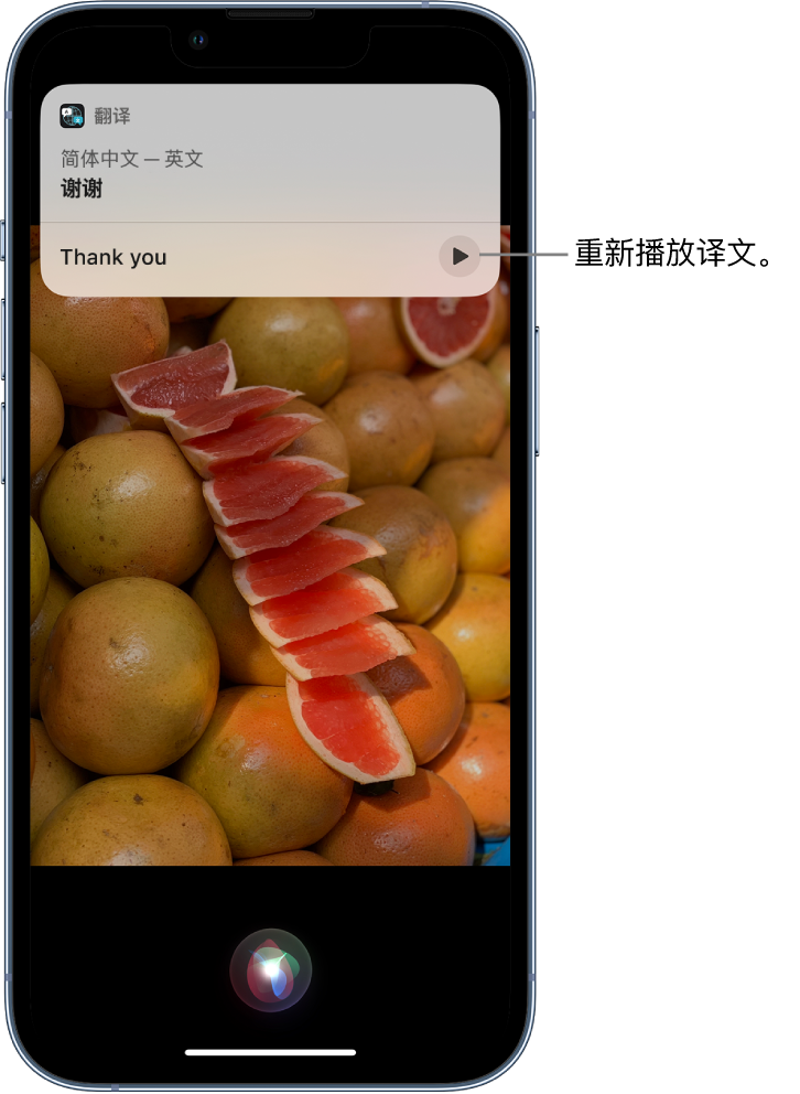 滴道苹果14维修分享 iPhone 14 机型中使用 Siri：了解 Siri 能帮你做什么 