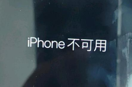 滴道苹果服务网点分享锁屏界面显示“iPhone 不可用”如何解决 