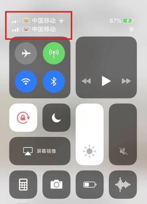 滴道苹果手机维修分享为 iPhone 12 双卡设置标签 