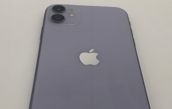 滴道苹果11系统维修分享iPhone11手机系统崩溃无法开机如何解决 